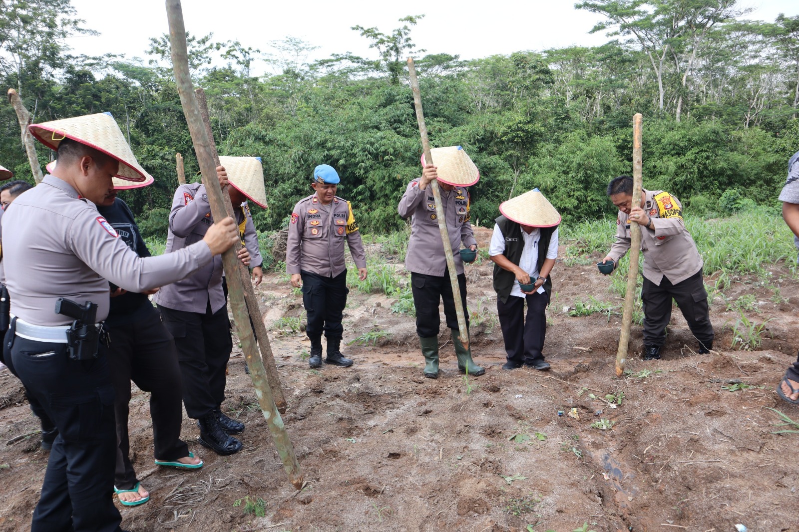 Dukung Ketahanan Pangan, Polisi Bersama Kelompok Tani Berkolaborasi Tanam Jagung di Way Kanan Lampung